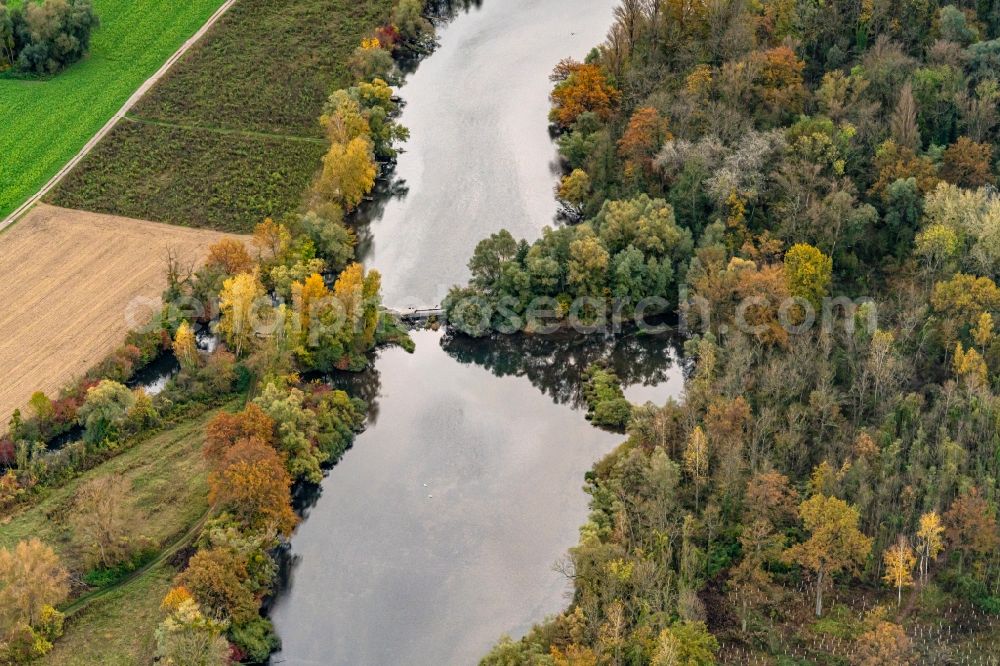 Neuried from the bird's eye view: Autumnal discolored vegetation view grassland structures of a meadow and field landscape in the lowland Rhein River in Neuried in the state Baden-Wurttemberg, Germany