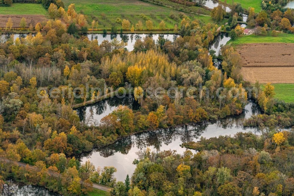 Aerial image Neuried - Autumnal discolored vegetation view grassland structures of a meadow and field landscape in the lowland Rhein River in Neuried in the state Baden-Wurttemberg, Germany