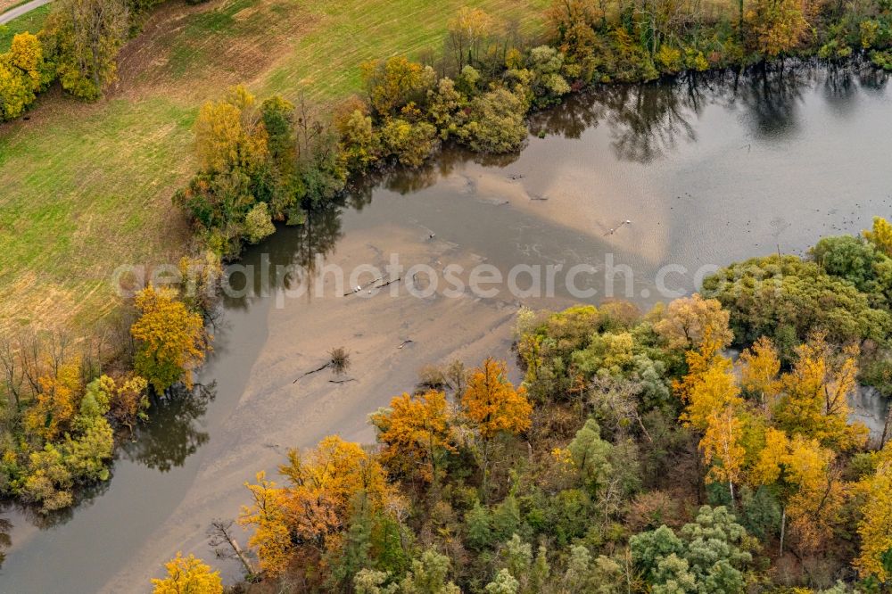 Neuried from the bird's eye view: Autumnal discolored vegetation view grassland structures of a meadow and field landscape in the lowland Rhein River in Neuried in the state Baden-Wurttemberg, Germany