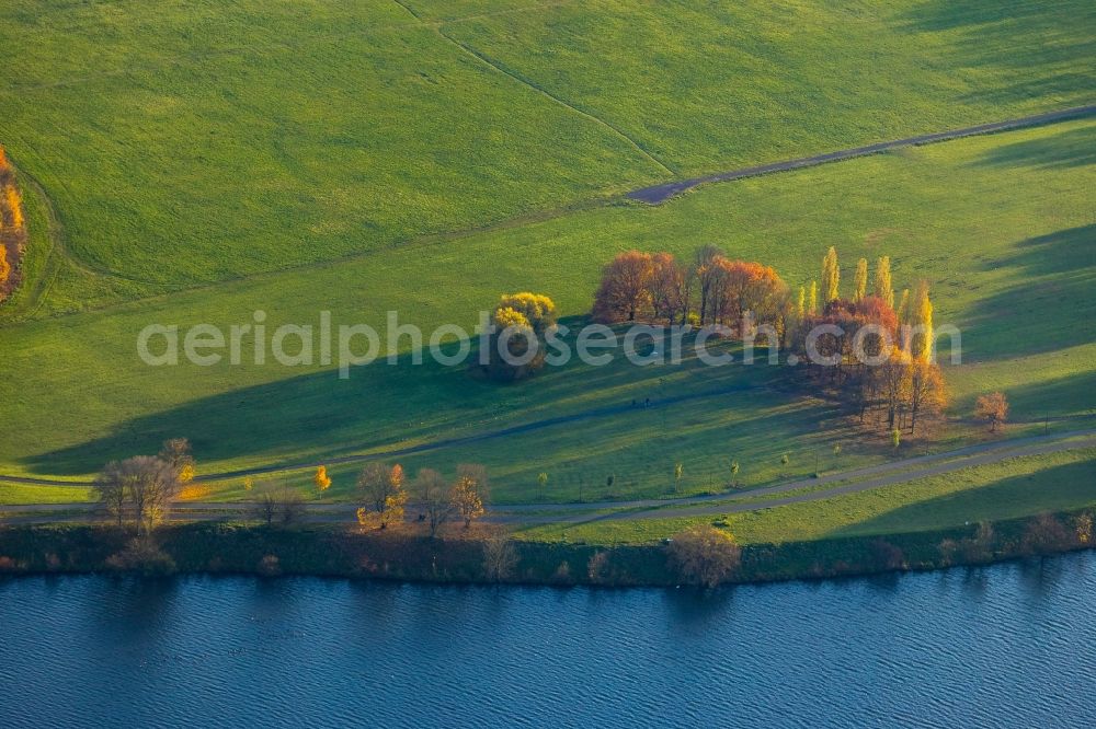 Witten from above - Autumnal discolored vegetation view grassland structures of a meadow and field landscape in the lowland the Ruhr in Witten in the state North Rhine-Westphalia, Germany