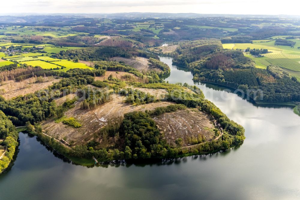 Aerial image Breckerfeld - Autumnal discolored vegetation view Dams - dam and shore areas at the reservoir Ennepetalsperre in Breckerfeld in the federal state of North Rhine-Westphalia, Germany