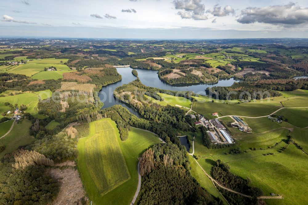 Breckerfeld from above - Autumnal discolored vegetation view Dams - dam and shore areas at the reservoir Ennepetalsperre in Breckerfeld in the federal state of North Rhine-Westphalia, Germany