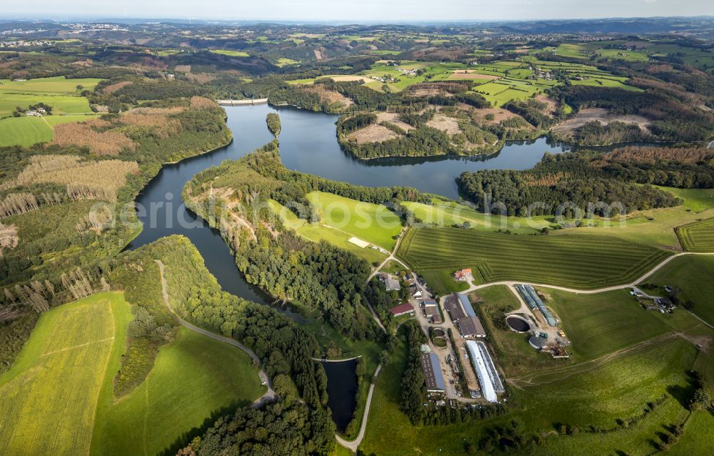 Breckerfeld from the bird's eye view: Autumnal discolored vegetation view Dams - dam and shore areas at the reservoir Ennepetalsperre in Breckerfeld in the federal state of North Rhine-Westphalia, Germany