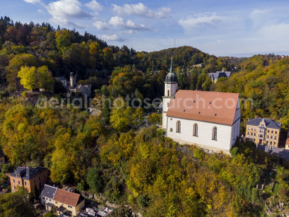 Tharandt from above - Autumnal colored vegetation view with castle ruins and church in Tharandt in the state of Saxony, Germany