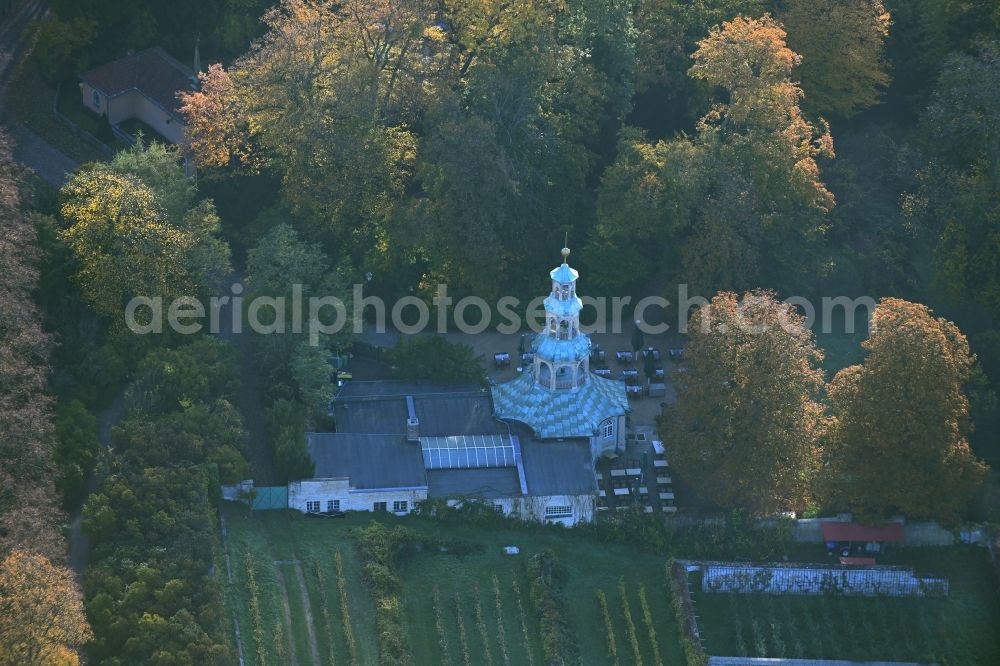 Potsdam from the bird's eye view: Autumnal discolored vegetation view tables and benches of open-air restaurants Drachenhaus on street Maulbeeralle in the district Brandenburger Vorstadt in Potsdam in the state Brandenburg, Germany