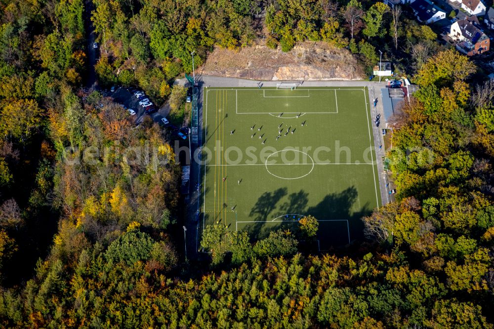 Aerial image Wengern - Autumnal discolored vegetation view participants of the training at the sport area on street Am Brasberg in Wengern at Ruhrgebiet in the state North Rhine-Westphalia, Germany