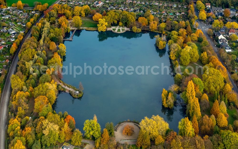 Aerial image Gladbeck - Autumnal discolored vegetation view at the shore areas of the North Park pond in Gladbeck in North Rhine-Westphalia