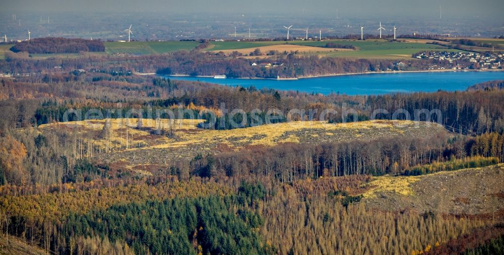 Aerial photograph Möhnesee - Autumnal discolored vegetation view riparian areas on the lake area of Moehnesee with cleared forest areas in Moehnesee in the state North Rhine-Westphalia, Germany