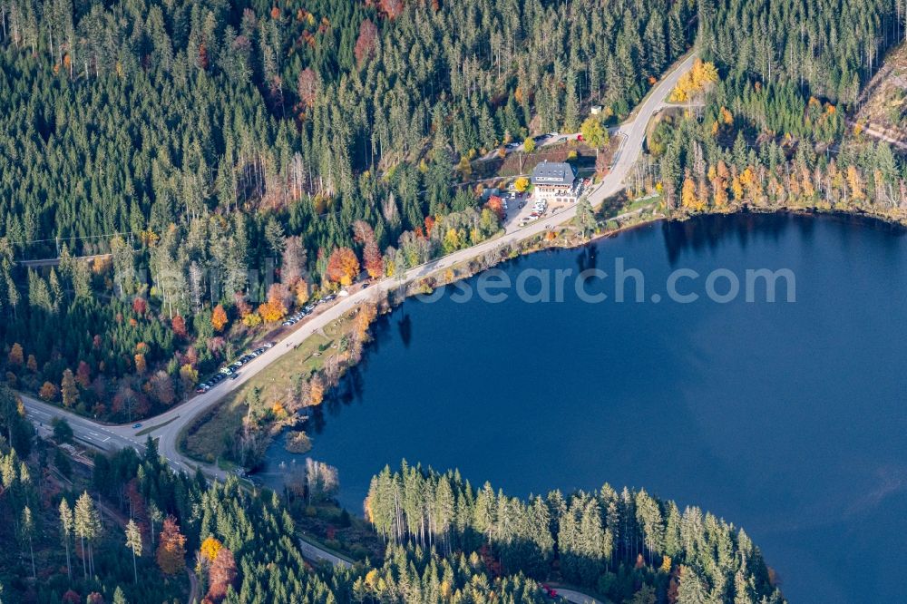 Aerial photograph Lenzkirch - Autumnal discolored vegetation view riparian areas on the lake area of Windgfaellweiher in Lenzkirch in the state Baden-Wuerttemberg, Germany