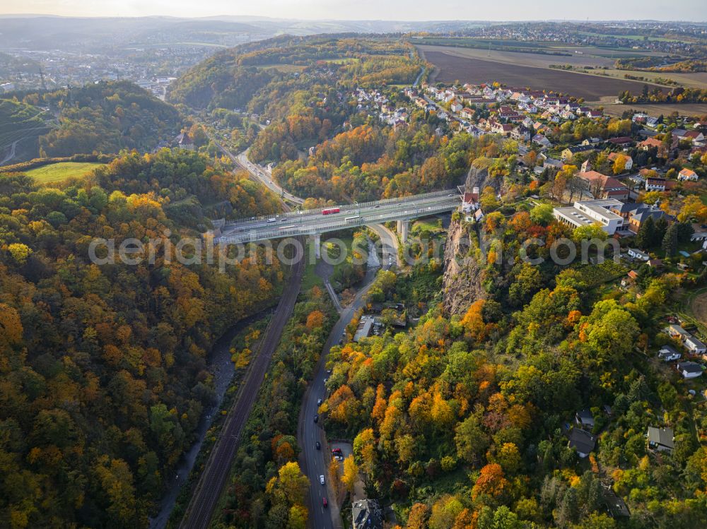 Aerial photograph Dresden - Autumnal discolored vegetation view routing and lanes in the course of the motorway bridge structure of the BAB A 17 Weisseritztalbruecke on street Weisseritztalbruecke in the district Coschuetz in Dresden in the state Saxony, Germany