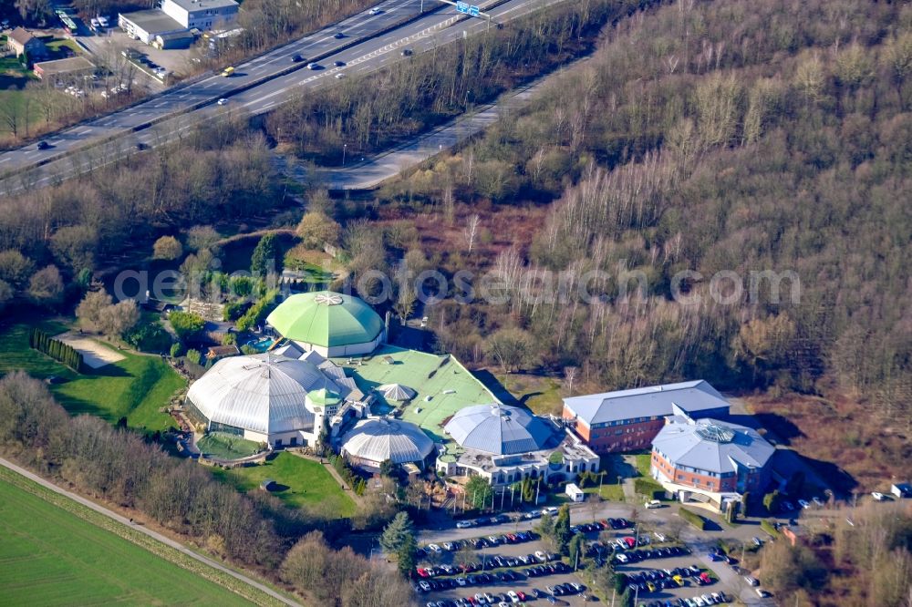 Bochum from the bird's eye view: Autumnal discolored vegetation view Forest around the spa and swimming pools at the swimming pool of the leisure facility Medi Therme on Kohlleppelsweg in Bochum at Ruhrgebiet in the state North Rhine-Westphalia, Germany