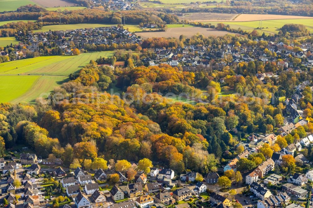 Bochum from above - Autumnal discolored vegetation view surrounded by forest and forest areas center of the streets and houses and residential areas in the district Harpen in Bochum at Ruhrgebiet in the state North Rhine-Westphalia, Germany