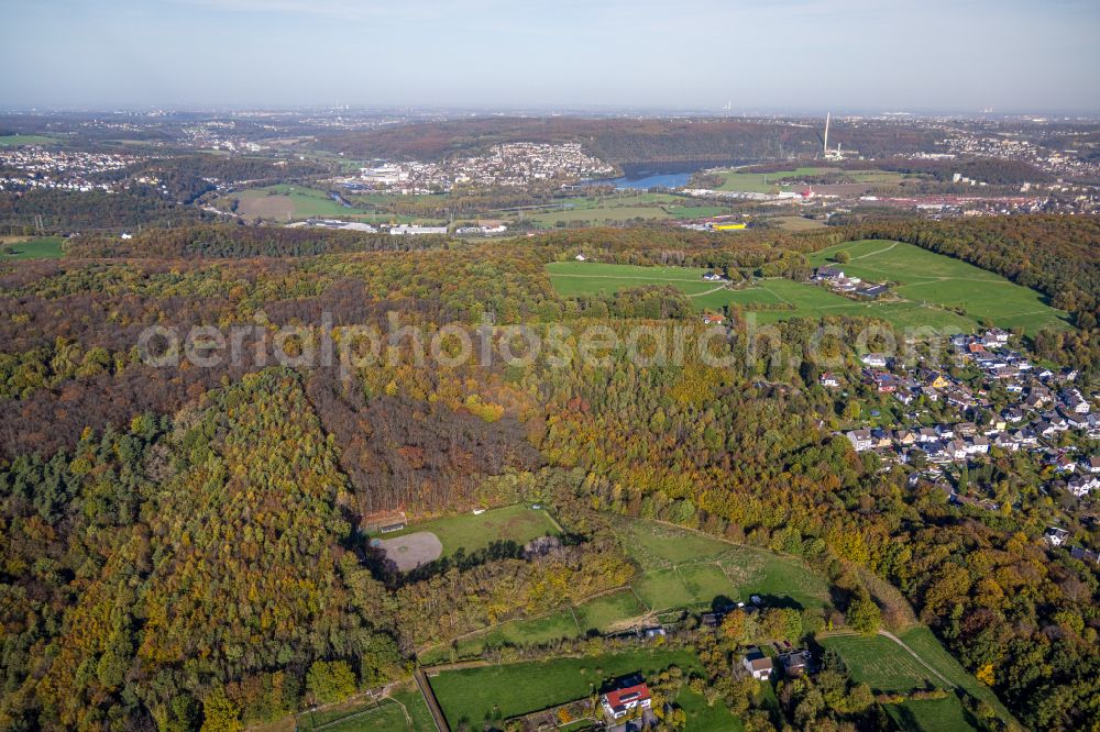 Hagen from above - Autumnal discolored vegetation view surrounded by forest and forest areas center of the streets and houses and residential areas on street Im Kursbrink in the district Geweke in Hagen at Ruhrgebiet in the state North Rhine-Westphalia, Germany