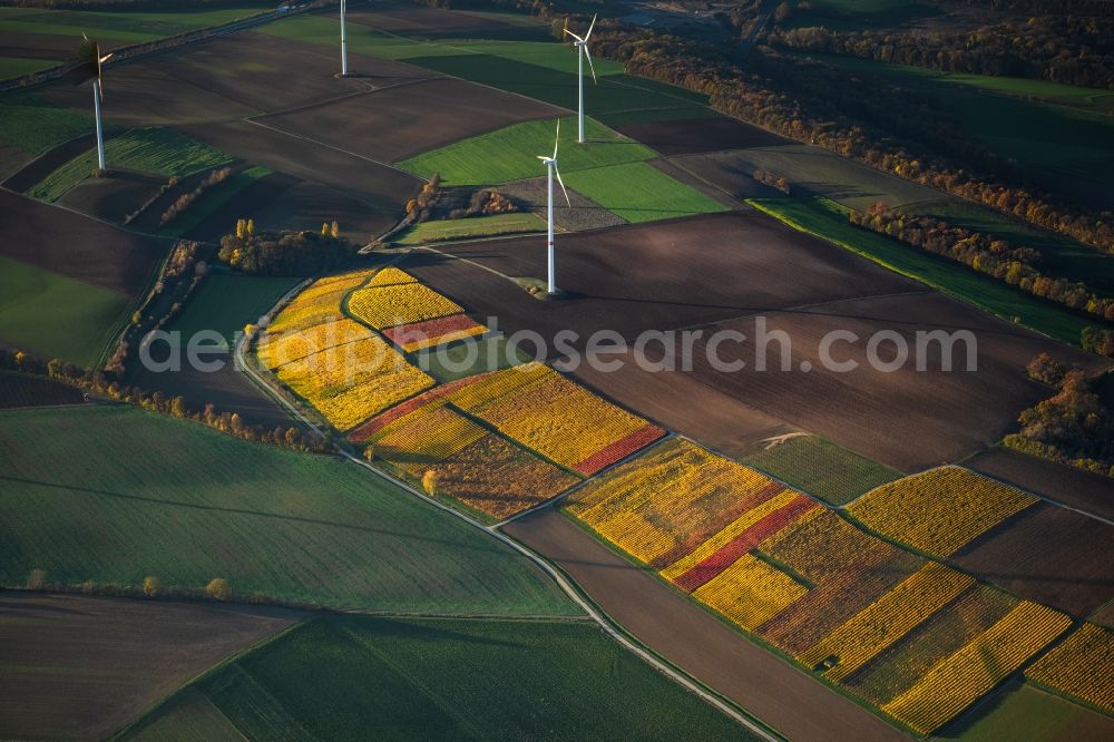 Aerial photograph Buchbrunn - Autumnal discolored vegetation view fields of wine cultivation landscape in Buchbrunn in the state Bavaria, Germany