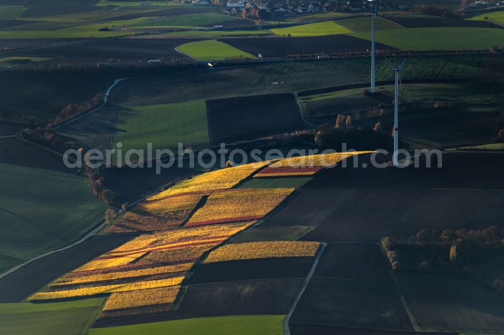 Buchbrunn from above - Autumnal discolored vegetation view fields of wine cultivation landscape in Buchbrunn in the state Bavaria, Germany