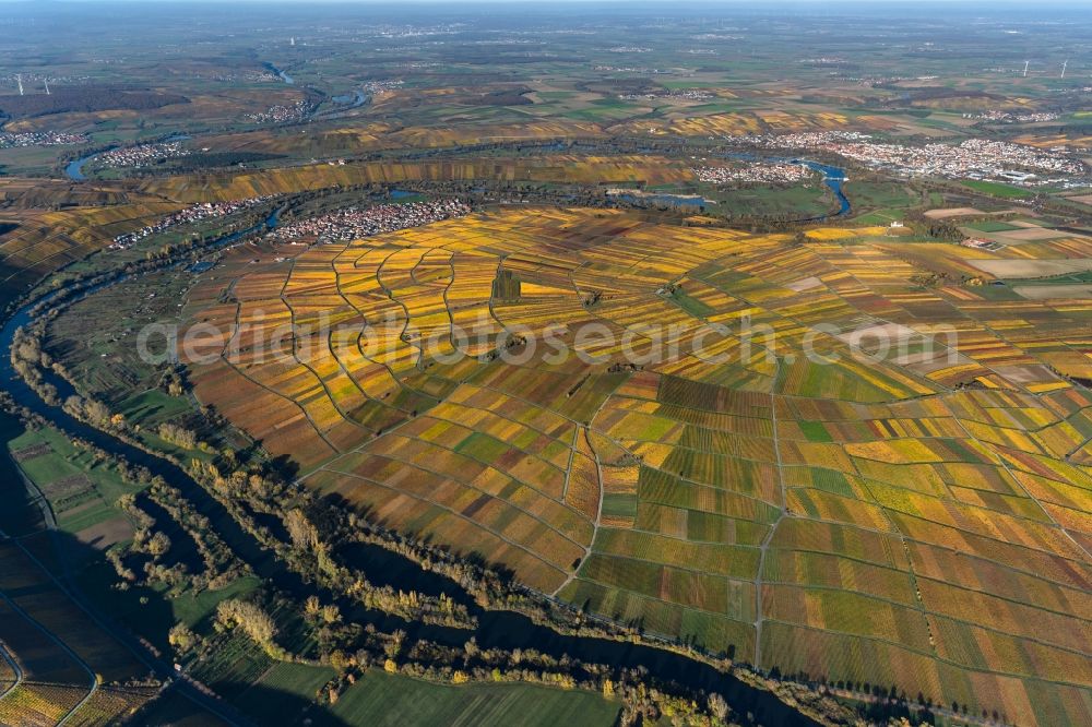 Dettelbach from above - Autumnal discolored vegetation view fields of wine cultivation landscape in Dettelbach in the state Bavaria, Germany