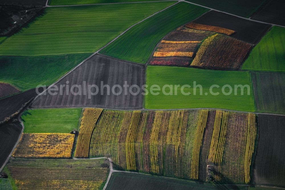 Aerial image Dingolshausen - Autumnal discolored vegetation view fields of wine cultivation landscape in Dingolshausen in the state Bavaria, Germany