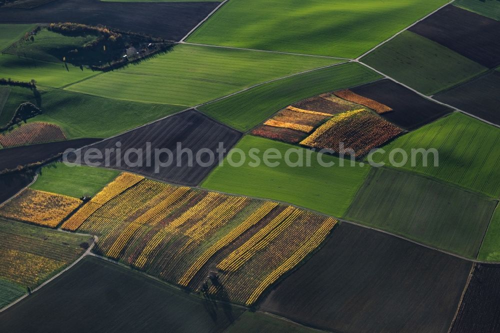 Aerial photograph Dingolshausen - Autumnal discolored vegetation view fields of wine cultivation landscape in Dingolshausen in the state Bavaria, Germany