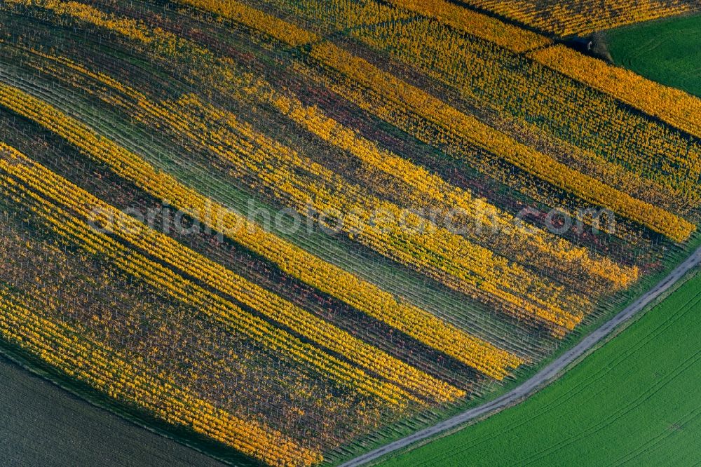 Aerial photograph Dingolshausen - Autumnal discolored vegetation view fields of wine cultivation landscape in Dingolshausen in the state Bavaria, Germany