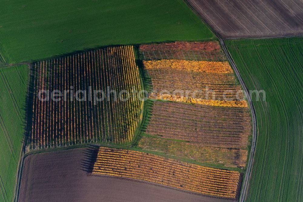 Dingolshausen from above - Autumnal discolored vegetation view fields of wine cultivation landscape in Dingolshausen in the state Bavaria, Germany