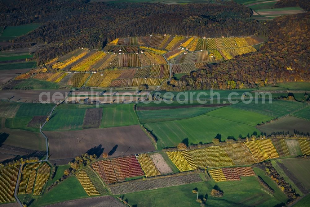 Donnersdorf from the bird's eye view: Autumnal discolored vegetation view fields of wine cultivation landscape in Donnersdorf in the state Bavaria, Germany