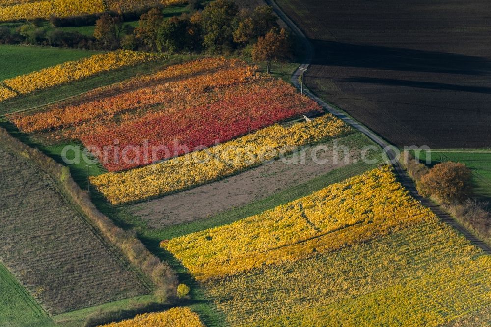 Aerial photograph Donnersdorf - Autumnal discolored vegetation view fields of wine cultivation landscape in Donnersdorf in the state Bavaria, Germany