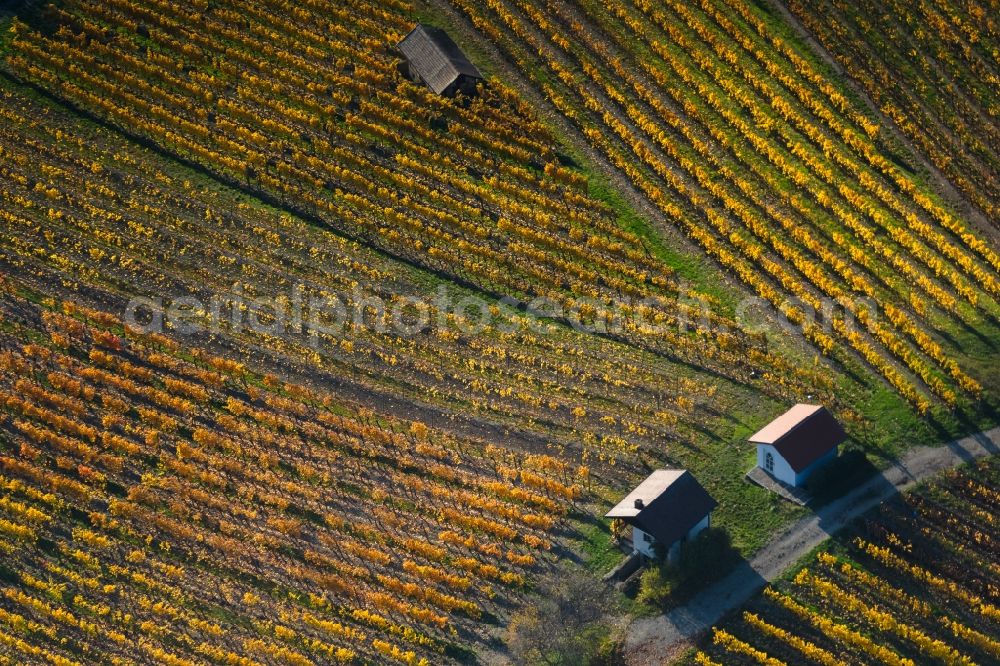 Donnersdorf from above - Autumnal discolored vegetation view fields of wine cultivation landscape in Donnersdorf in the state Bavaria, Germany