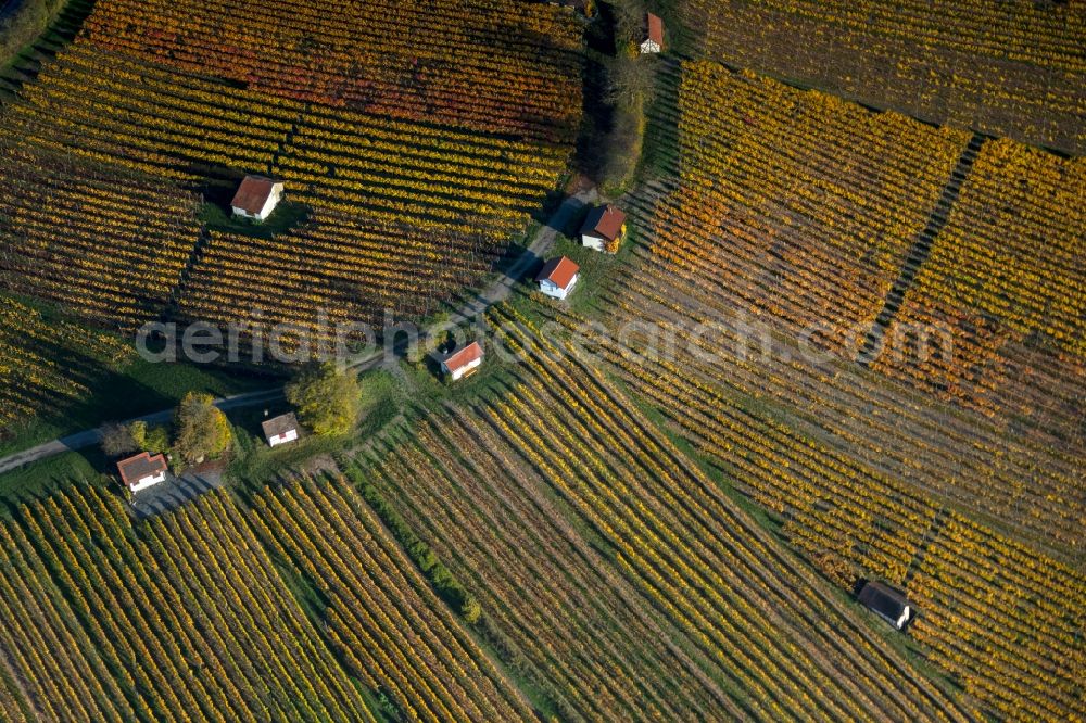 Aerial image Donnersdorf - Autumnal discolored vegetation view fields of wine cultivation landscape in Donnersdorf in the state Bavaria, Germany