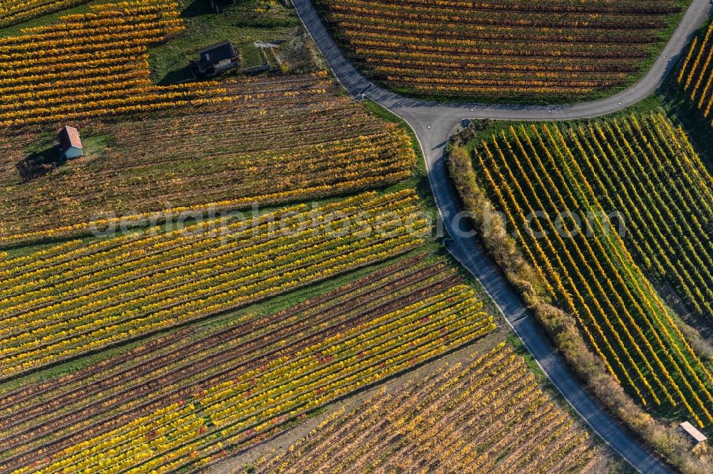 Aerial image Donnersdorf - Autumnal discolored vegetation view fields of wine cultivation landscape in Donnersdorf in the state Bavaria, Germany