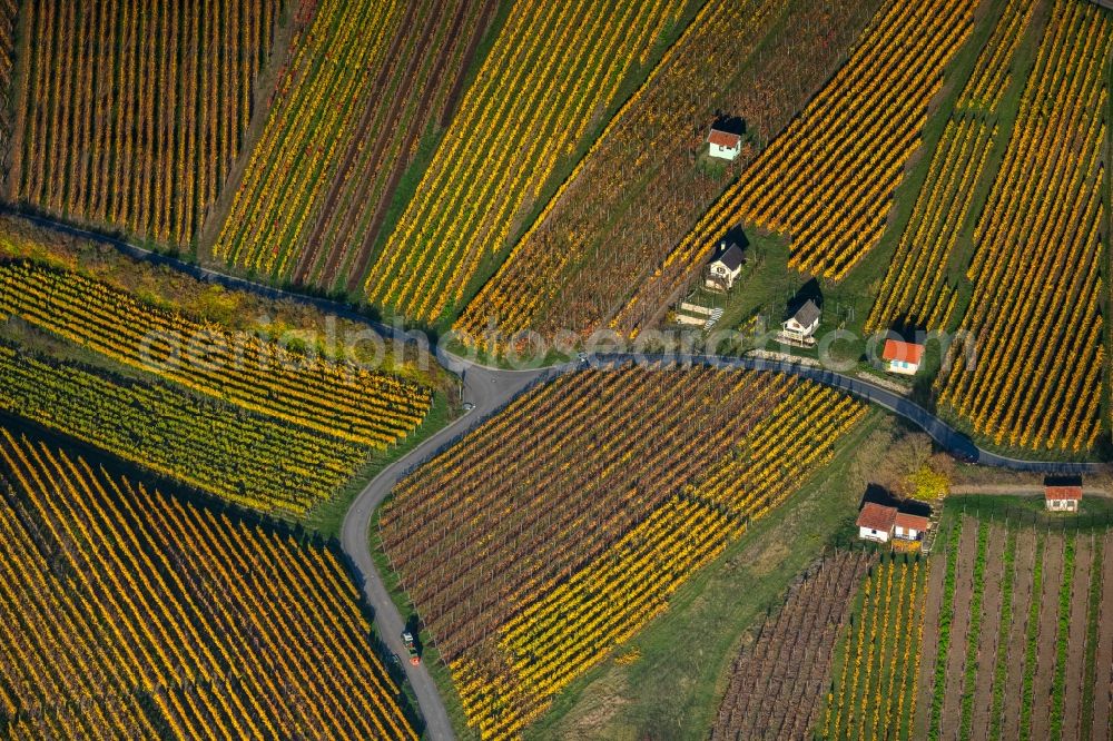 Donnersdorf from the bird's eye view: Autumnal discolored vegetation view fields of wine cultivation landscape in Donnersdorf in the state Bavaria, Germany