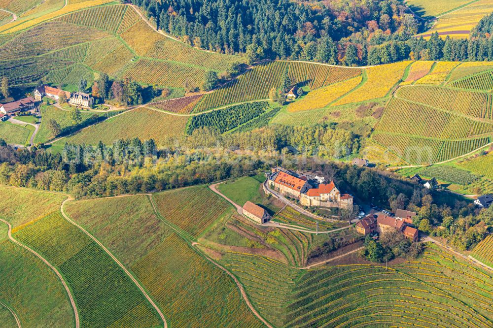 Durbach from above - Autumnal discolored vegetation view fields of wine cultivation landscape in Durbach in the state Baden-Wuerttemberg, Germany