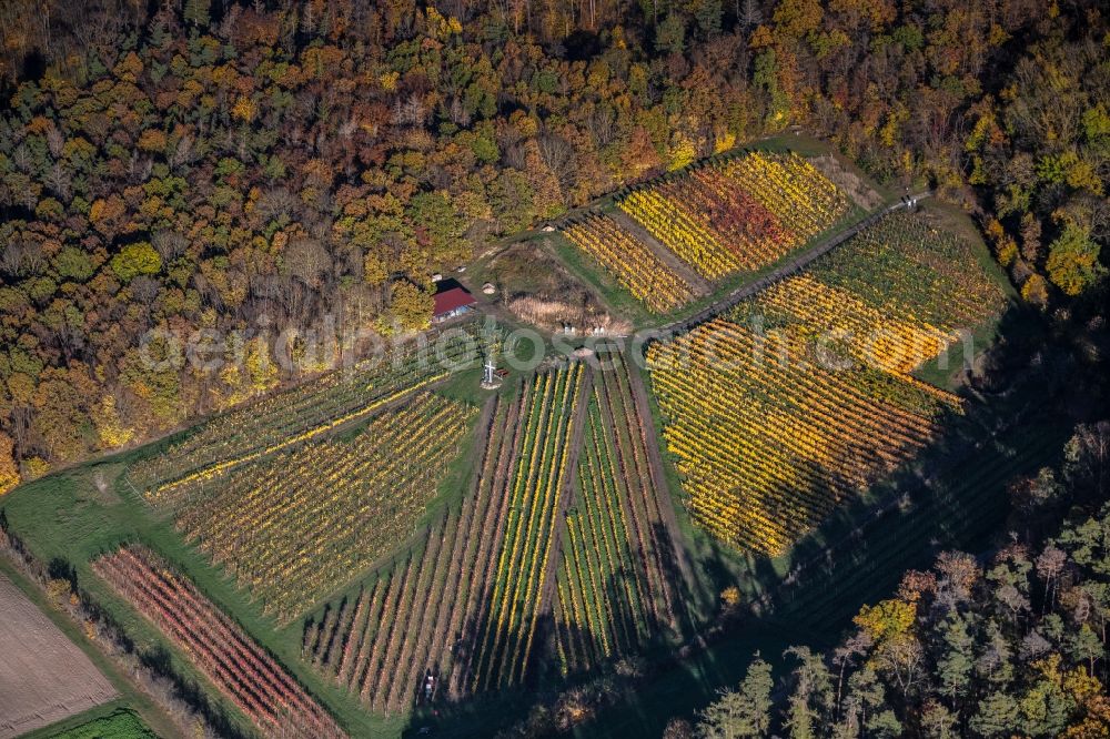 Aerial image Kirchschönbach - Autumnal discolored vegetation view fields of wine cultivation landscape in Kirchschoenbach in the state Bavaria, Germany