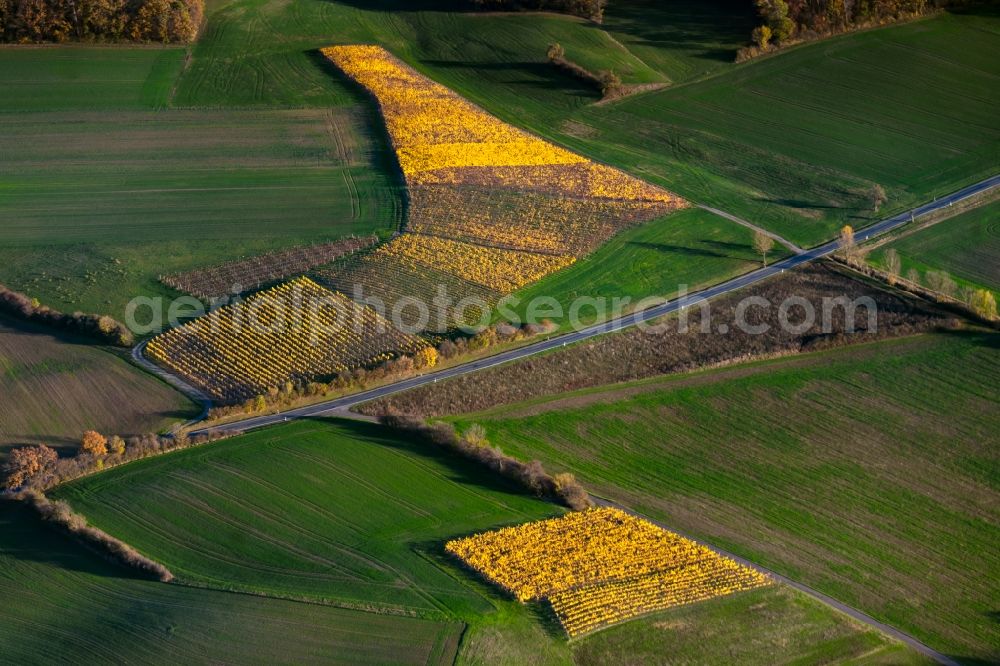 Michelau im Steigerwald from the bird's eye view: Autumnal discolored vegetation view fields of wine cultivation landscape in Michelau im Steigerwald in the state Bavaria, Germany