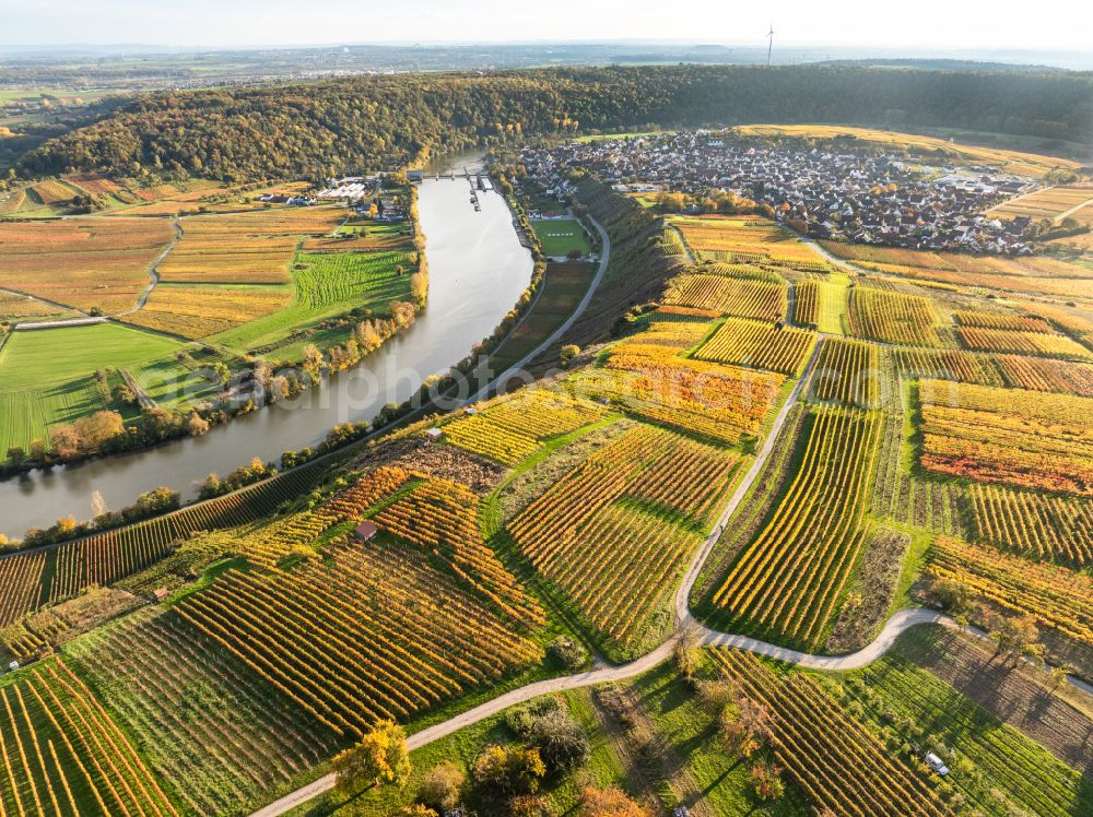 Aerial photograph Mundelsheim - Autumnal discolored vegetation view fields of a vineyard and vine landscape of the winegrowing areas on the Neckar loop in Mundelsheim Neckartal in the state of Baden-Wuerttemberg, Germany