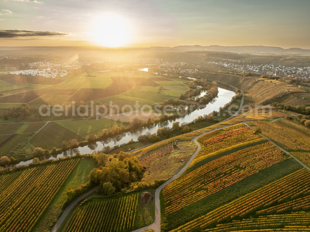 Mundelsheim from the bird's eye view: Autumnal discolored vegetation view fields of a vineyard and vine landscape of the winegrowing areas on the Neckar loop in Mundelsheim Neckartal in the state of Baden-Wuerttemberg, Germany