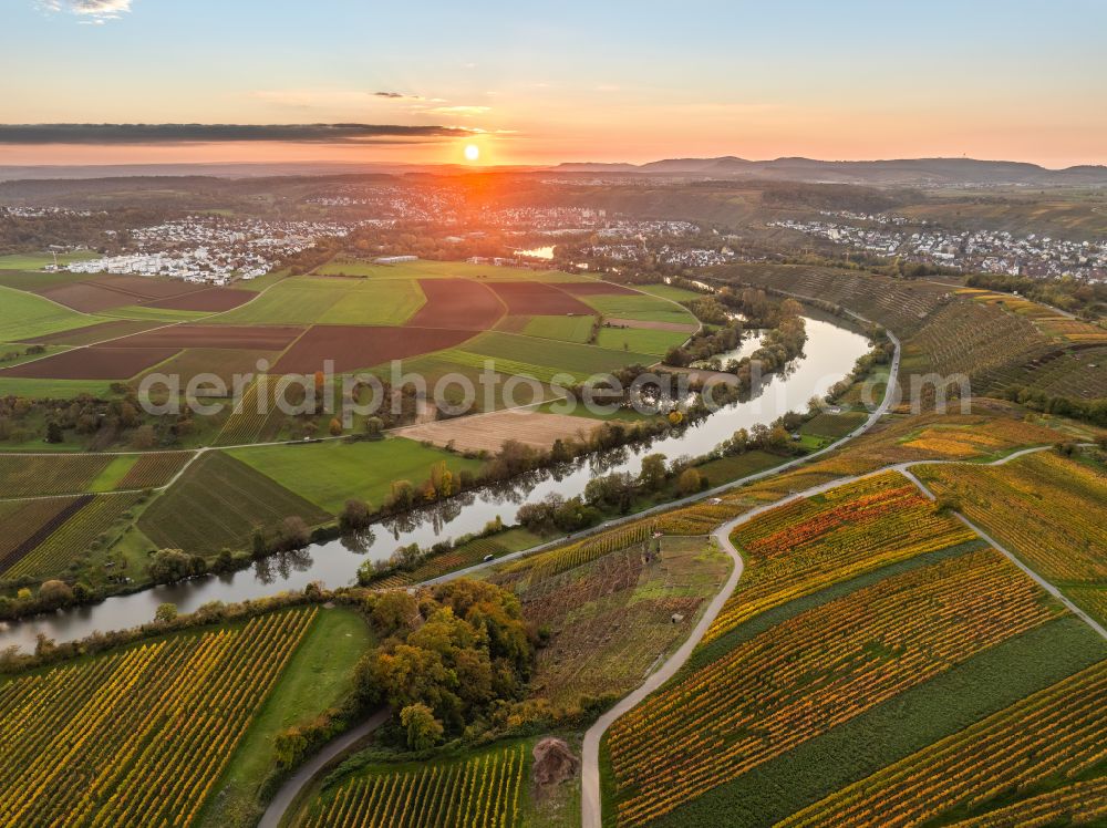 Aerial image Mundelsheim - Autumnal discolored vegetation view fields of a vineyard and vine landscape of the winegrowing areas on the Neckar loop in Mundelsheim Neckartal in the state of Baden-Wuerttemberg, Germany