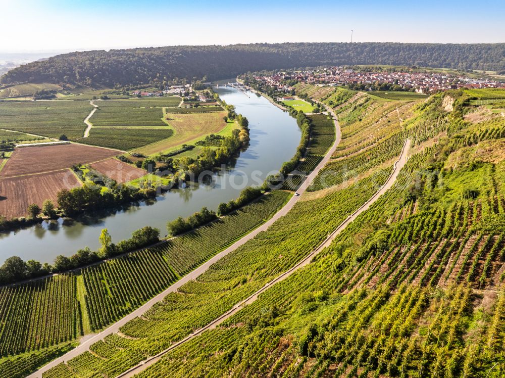 Mundelsheim from the bird's eye view: Autumnal discolored vegetation view fields of a vineyard and vine landscape of the winegrowing areas on the Neckar loop in Mundelsheim Neckartal in the state of Baden-Wuerttemberg, Germany