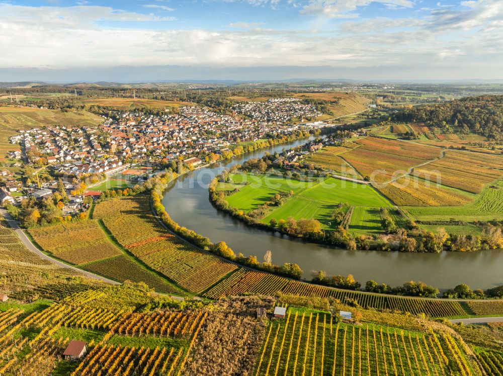 Aerial image Mundelsheim - Autumnal discolored vegetation view fields of a vineyard and vine landscape of the winegrowing areas on the Neckar loop in Mundelsheim Neckartal in the state of Baden-Wuerttemberg, Germany