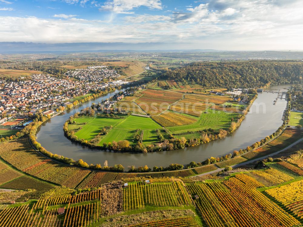 Aerial photograph Mundelsheim - Autumnal discolored vegetation view fields of a vineyard and vine landscape of the winegrowing areas on the Neckar loop in Mundelsheim Neckartal in the state of Baden-Wuerttemberg, Germany