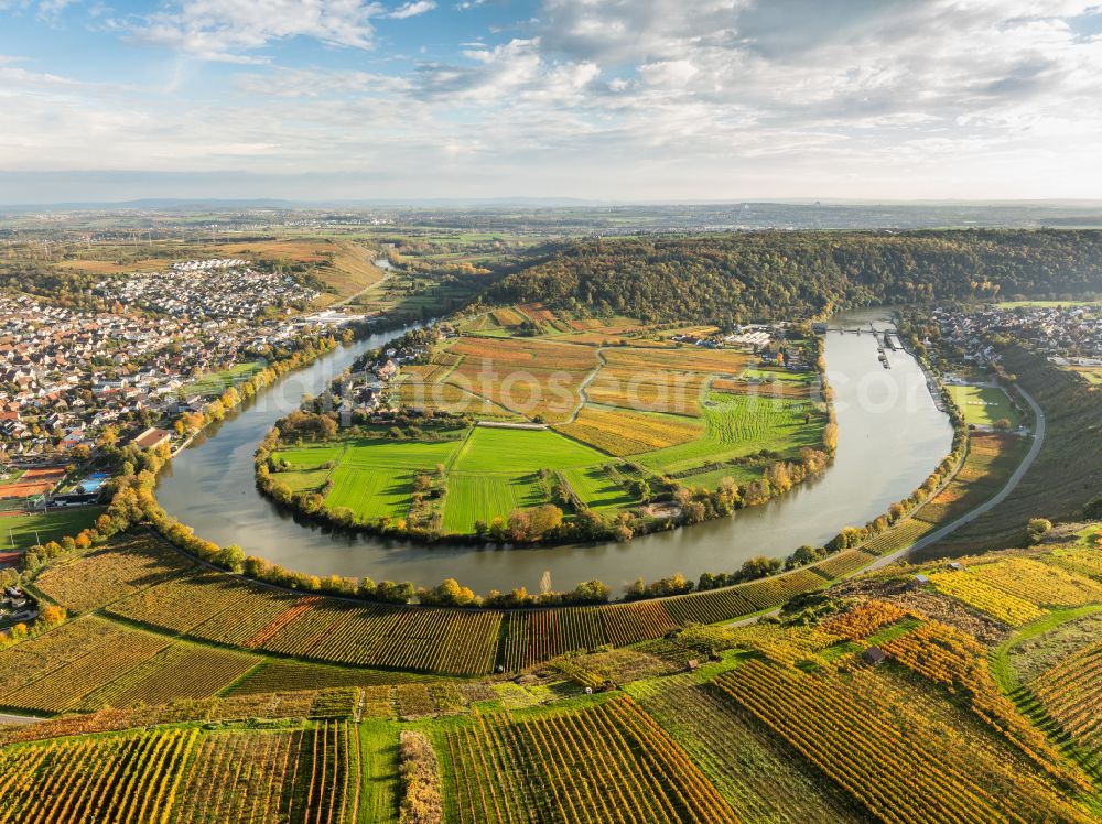 Mundelsheim from above - Autumnal discolored vegetation view fields of a vineyard and vine landscape of the winegrowing areas on the Neckar loop in Mundelsheim Neckartal in the state of Baden-Wuerttemberg, Germany