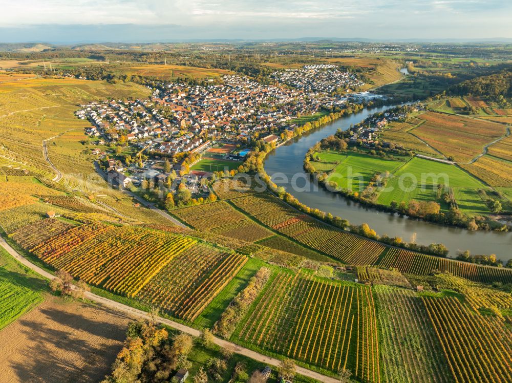 Mundelsheim from the bird's eye view: Autumnal discolored vegetation view fields of a vineyard and vine landscape of the winegrowing areas on the Neckar loop in Mundelsheim Neckartal in the state of Baden-Wuerttemberg, Germany