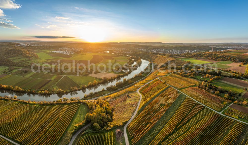 Aerial image Mundelsheim - Autumnal discolored vegetation view fields of a vineyard and vine landscape of the winegrowing areas on the Neckar loop in Mundelsheim Neckartal in the state of Baden-Wuerttemberg, Germany