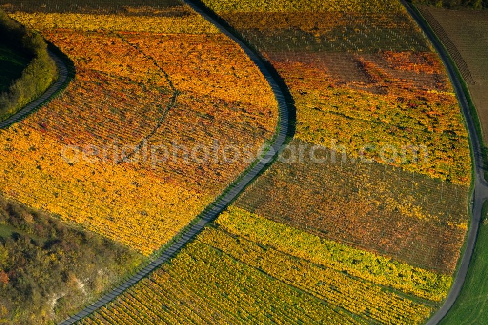 Oberschwarzach from above - Autumnal discolored vegetation view fields of wine cultivation landscape in Oberschwarzach in the state Bavaria, Germany