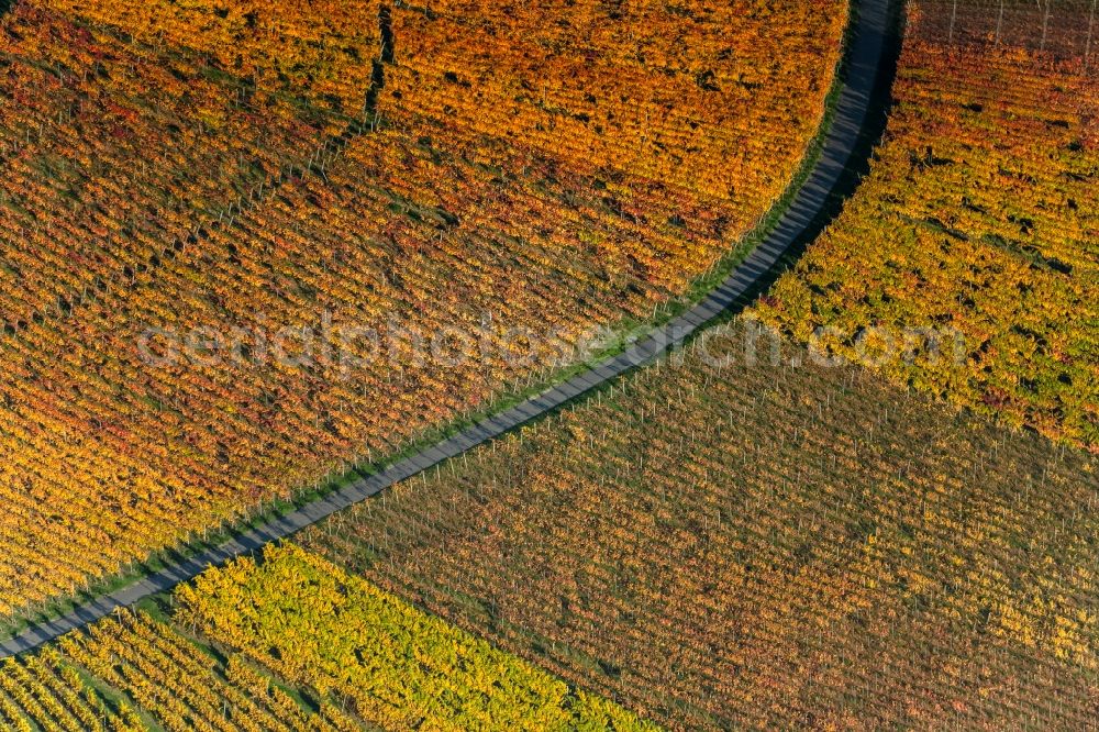 Oberschwarzach from the bird's eye view: Autumnal discolored vegetation view fields of wine cultivation landscape in Oberschwarzach in the state Bavaria, Germany