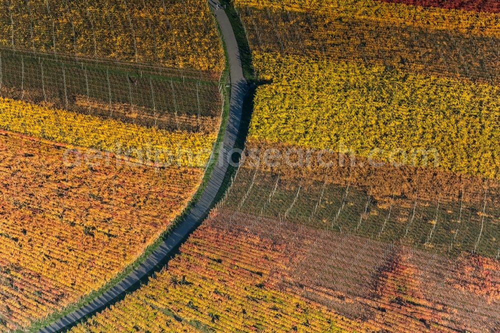 Aerial image Oberschwarzach - Autumnal discolored vegetation view fields of wine cultivation landscape in Oberschwarzach in the state Bavaria, Germany