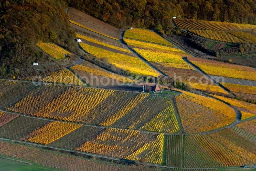 Aerial image Oberschwarzach - Autumnal discolored vegetation view fields of wine cultivation landscape in Oberschwarzach in the state Bavaria, Germany