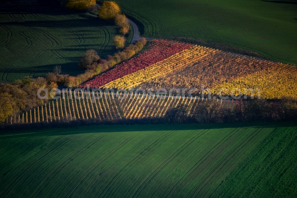 Oberschwarzach from above - Autumnal discolored vegetation view fields of wine cultivation landscape in Oberschwarzach in the state Bavaria, Germany