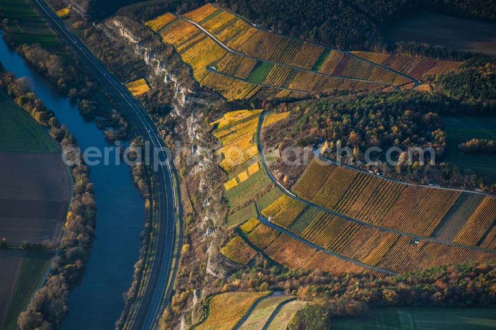 Aerial photograph Stetten - Autumnal discolored vegetation view fields of wine cultivation landscape on the Main river in Stetten in the state Bavaria, Germany