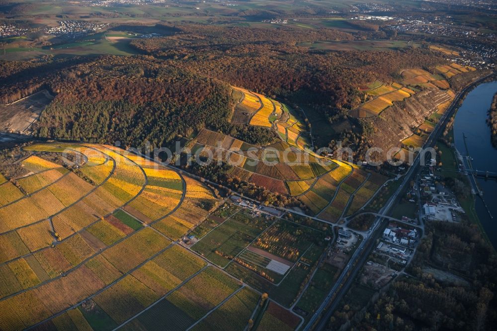 Aerial image Thüngersheim - Autumnal discolored vegetation view fields of wine cultivation landscape Hoehfeldplatte and Scharlachhberg in Thuengersheim in the state Bavaria, Germany