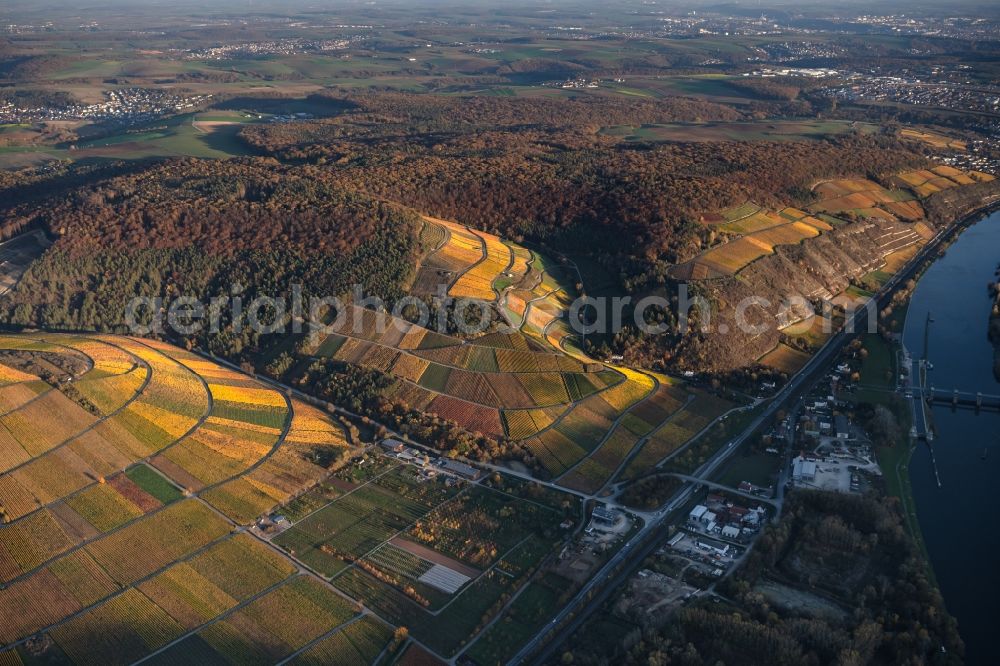 Aerial photograph Thüngersheim - Autumnal discolored vegetation view fields of wine cultivation landscape Hoehfeldplatte and Scharlachhberg in Thuengersheim in the state Bavaria, Germany